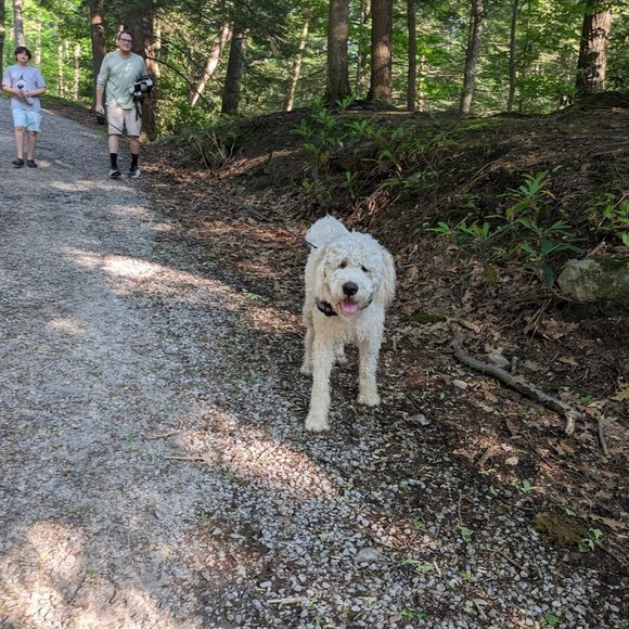 Meet your Posher, Donna - Picture 15 of 16